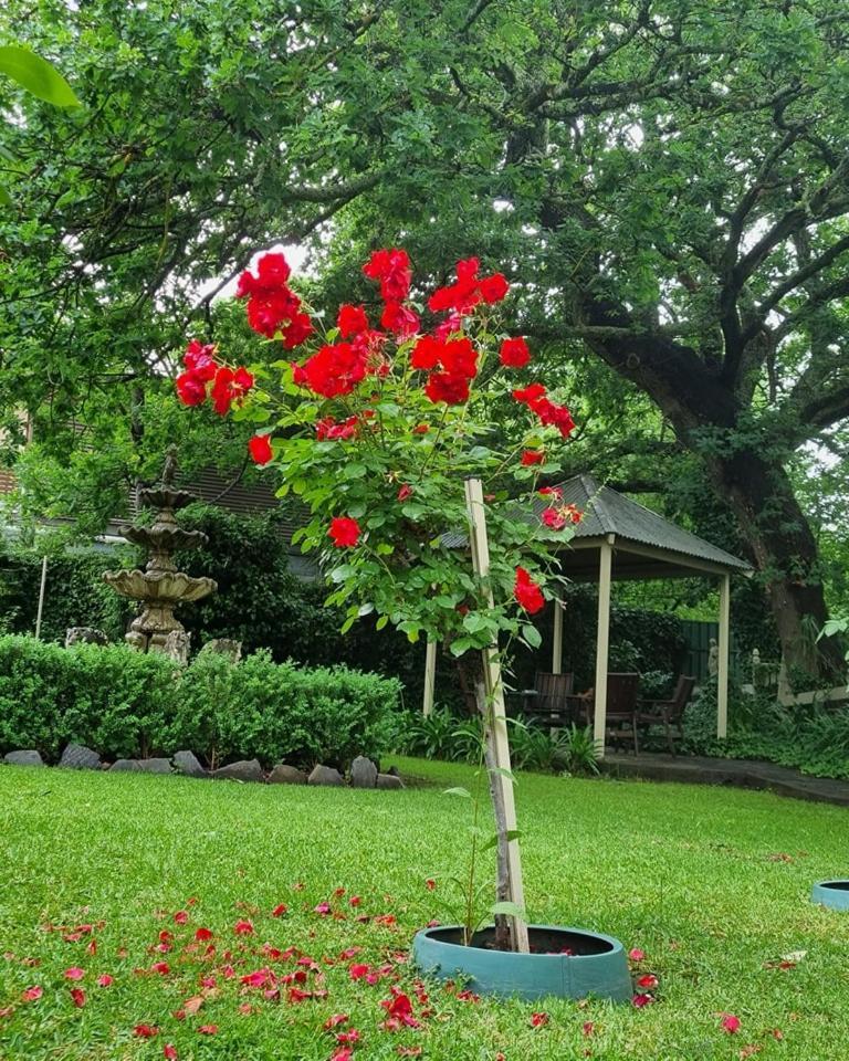 Hahndorf House B&B Buitenkant foto